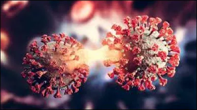 Quel est le nom du premier pays où a été identifié ce virus ?