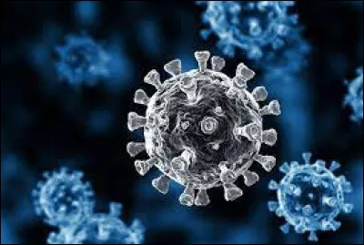 Quelle est l'organisation mondiale qui coordonne les réponses internationales à la pandémie de COVID-19 ?