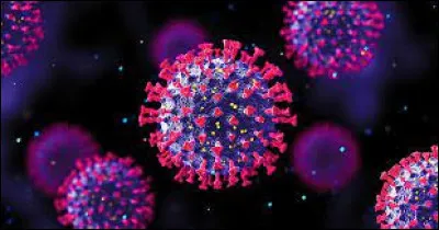 En 2021, quelle était la durée généralement recommandée pour l'auto-isolement en cas de suspicion de COVID-19 ?