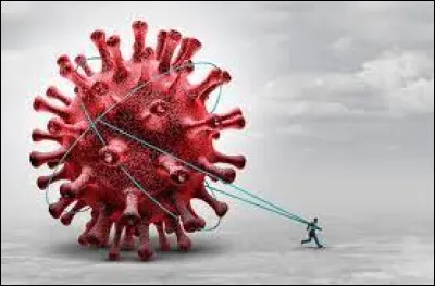 Quel est le nom de la première personne à avoir reçu un vaccin contre la COVID-19 de manière publique ?