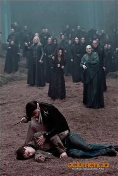 Quand Narcissa va voir si Harry est mort que dit-elle à Voldemort ?