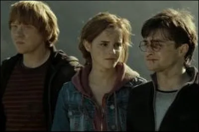 Qui a désarmé Dumbledore dans la tour d'astronomie (HP6) ?