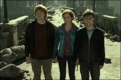 Qui est le vrai propriétaire de la baguette de sureau ?