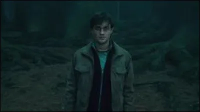 Grâce à la pierre de résurrection qui Harry voit-il dans la forêt interdite ?