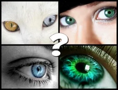 'Vairons' se dit des yeux quand ils sont :