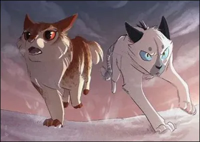 Lors d'une bataille tu te fais enlever ta 8e vie. Quelle est ta réaction ?