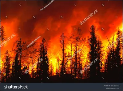 Situation : ton village est attaqué ! Que dois-tu faire ?