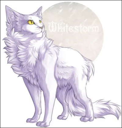 Avec Flocon de Neige, elle eu plusieurs chatons.
Combien a-t-elle eu de chatons ?