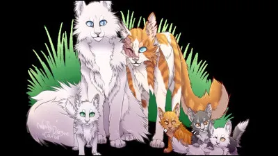 Quels sont les noms de ses chatons ?