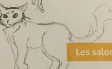Quiz La guerre des clans