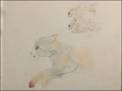 Elle na pas eu de chance dans sa vie. Qui est-ce ?