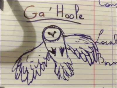 Ce splendide animal est