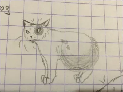 Ce chat pourrait être...