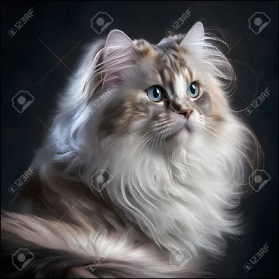 Tes chatons sont enfin arrivés ! Il y a Petit Câlin, Petite Biche, Petit Museau et Boule de Givre ! Malheureusement, Étoile d'Espoir meurt et son lieutenant Cur d'Abeille prend sa place en tant que Étoile de l'Abeille. Elle te choisit alors comme lieutenant !