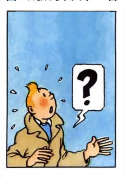 Ici, Tintin n'en croit pas ces oreilles et encore moins ses yeux ! Niveau "mémoire", de votre côté, qu'est-ce que cela donne ?