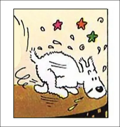 C'est au tour de Milou d'attraper une belle suée ! Que lui arrive-t-il ?