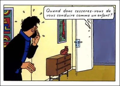 Le capitaine Haddock aurait-il commis une bévue ? Laquelle ?