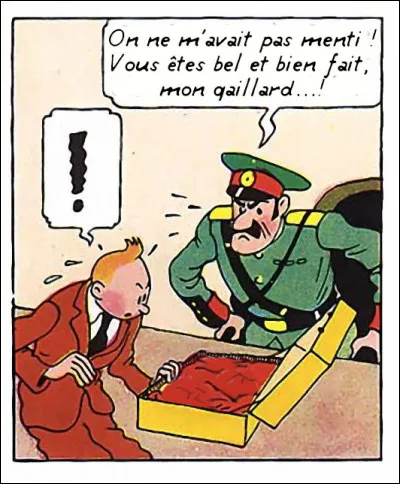 Stupeur ! Que découvre ici Tintin dans sa valise, en même temps que le policier suspicieux ?
