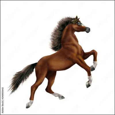 Si le cheval est enfermé ou encapuchonné...