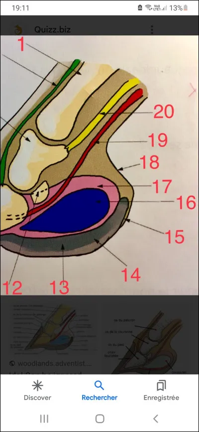 Que montre le numéro 16 ?