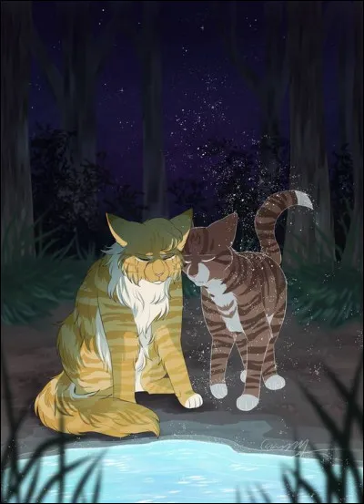 Trois saisons plus tard, le guérisseur (ton mentor) meurt de maladie.
Quelle est ta réaction ?