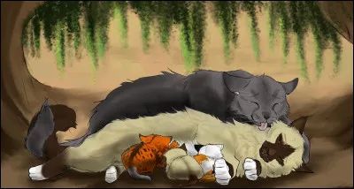 Finalement, Nuage de Baie décide de redoubler d'efforts et apprend vite. Mais un autre chaton, Petit Jonc, qui a bientôt six lunes, aimerait aussi devenir apprenti guérisseur.