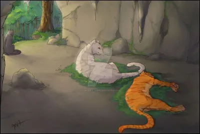 Mais durant la mauvaise saison, Plume de Feu se coupe le coussinet et vous n'avez plus de souci. Que fais-tu ?