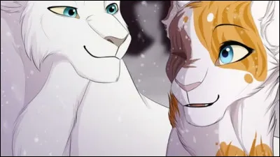 Qui sont ses apprentis ?