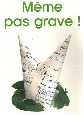 Une peccadille est :