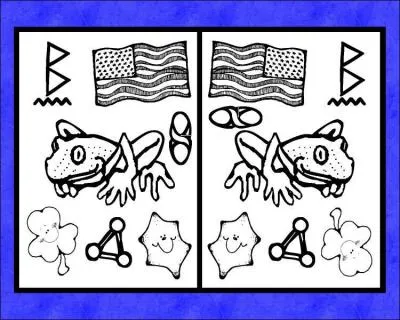 Ces deux dessins sont symtriques selon un axe vertical. Mais il y a quelques erreurs. Combien ?