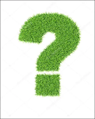 Quelle photo représente une gerbille ?