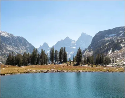 "La Dame de Haute-Savoie" est une chanson d'Alain Souchon.