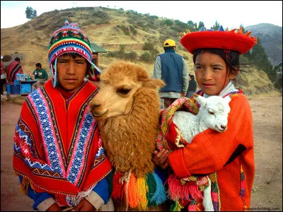 Le fer était inconnu des Incas.