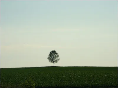 "Mille ans de solitude" est un roman de Gabriel Garcia Marquez.