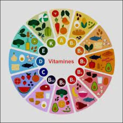Quels aliments contiennent beaucoup de vitamine B ?