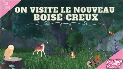 Quelle écurie se situe dans le Boisé Creux ?