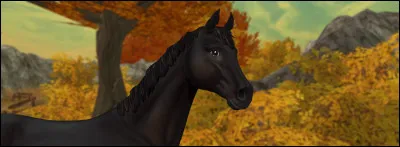 L'écurie ... est une écurie qui a une immense population d'arbres aux couleurs d'or ! (Complétez)