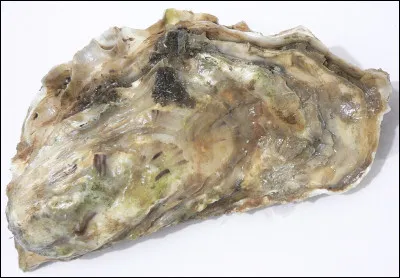 Combien de fois Eddie Barclay s'est-il marié ?