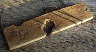 Lequel de ces prénoms est intrus ?