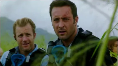 Quel acteur interprète le rôle de Danny "Danno" Williams dans la version de 2010 de "Hawaii 5-0" ?