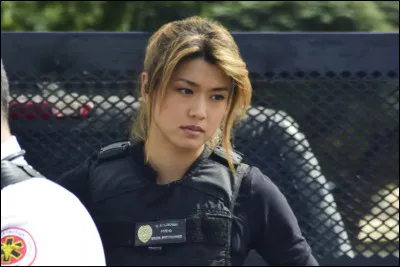 Quel est le nom de l'équipe spéciale dirigée par Steve McGarrett dans la version de 2010 ?