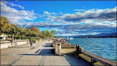 Ce lac de 88 km² situé dans le nord de la chaîne des Alpes, long de 42 km, se compose de deux parties, séparées par une presqu'île, la péninsule Hurden : c'est le ...