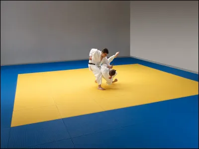 Quel est le nom de ce tapis de sol en T, fabriqué en paille de riz, qui sert en particulier à la pratique des arts marciaux ?