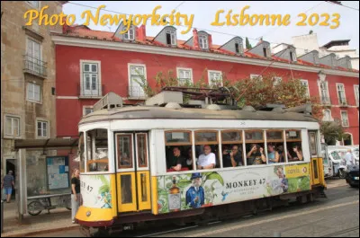 Quel est le nom de ce moyen de transport collectif en T qui circule sur des rails ?