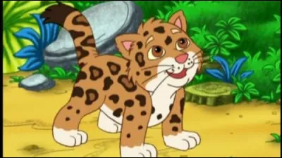 Comment s'appelle le petit jaguar qui suit Diego ?