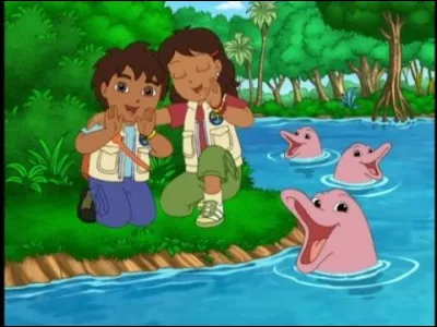 Qui Diego sauve-t-il ?