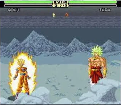 Je ne compte plus les nombreuses heures que j'ai pu passer sur ce jeu vidéo avec mes amis. Chacun essayant de découvrir de nouvelles attaques. 
Quel-est-il ?