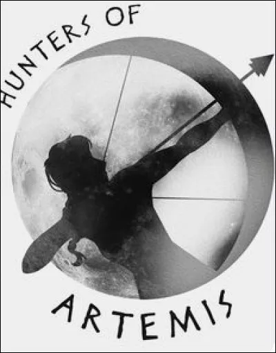 De quoi est fait son arc ?