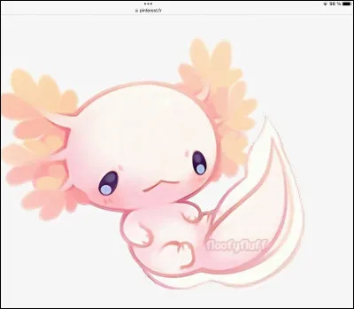 (Suite) Tu es plutôt