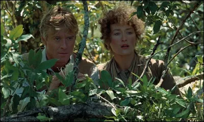 De quel film est tir&eacute;e cette image ?